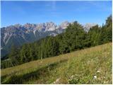 Forni di Sopra - Malga Varmost